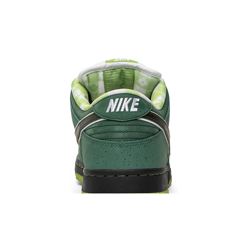 CONCEPTS X DUNK LOW SB