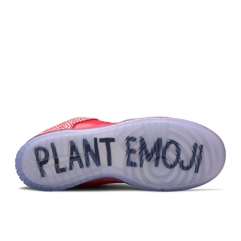 STINGWATER X DUNK LOW SB 