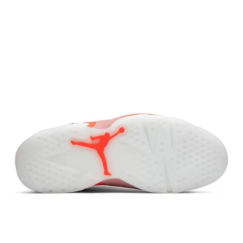 ALEALI MAY X AIR JORDAN 6 RETRO