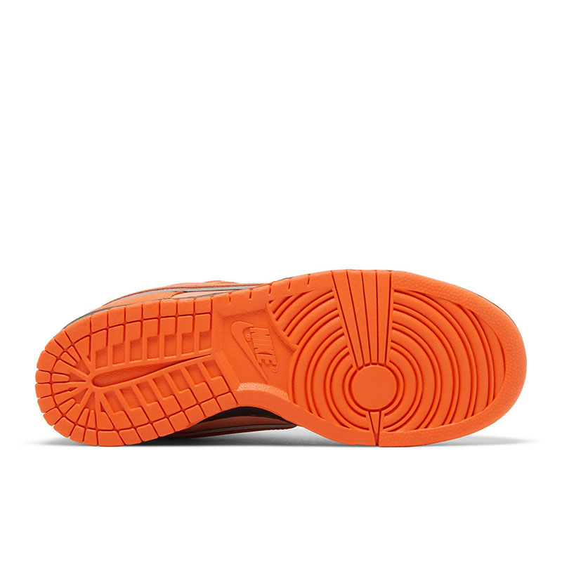 CONCEPTS X DUNK LOW SB