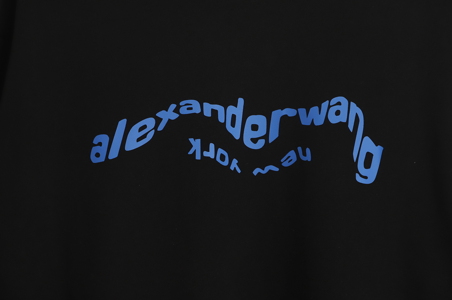 Alexander Wang 22FW Twisted Letters Crewneck Sweatshirt TSK1