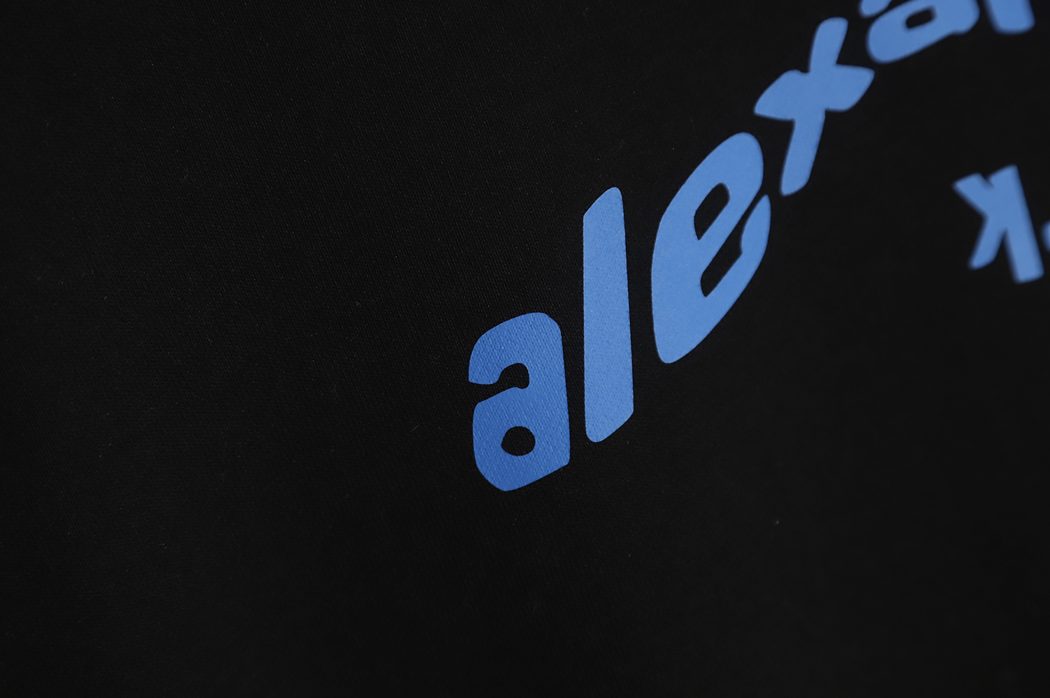 Alexander Wang 22FW Twisted Letters Crewneck Sweatshirt TSK1