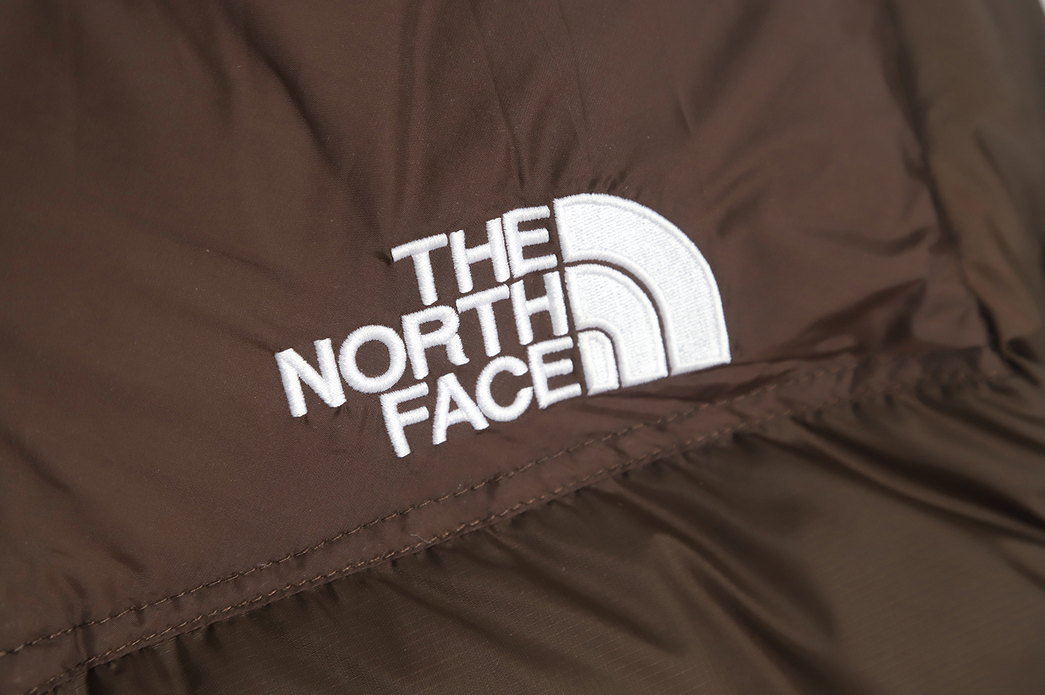 the nor*h F**e 1996 down jacket 5s version