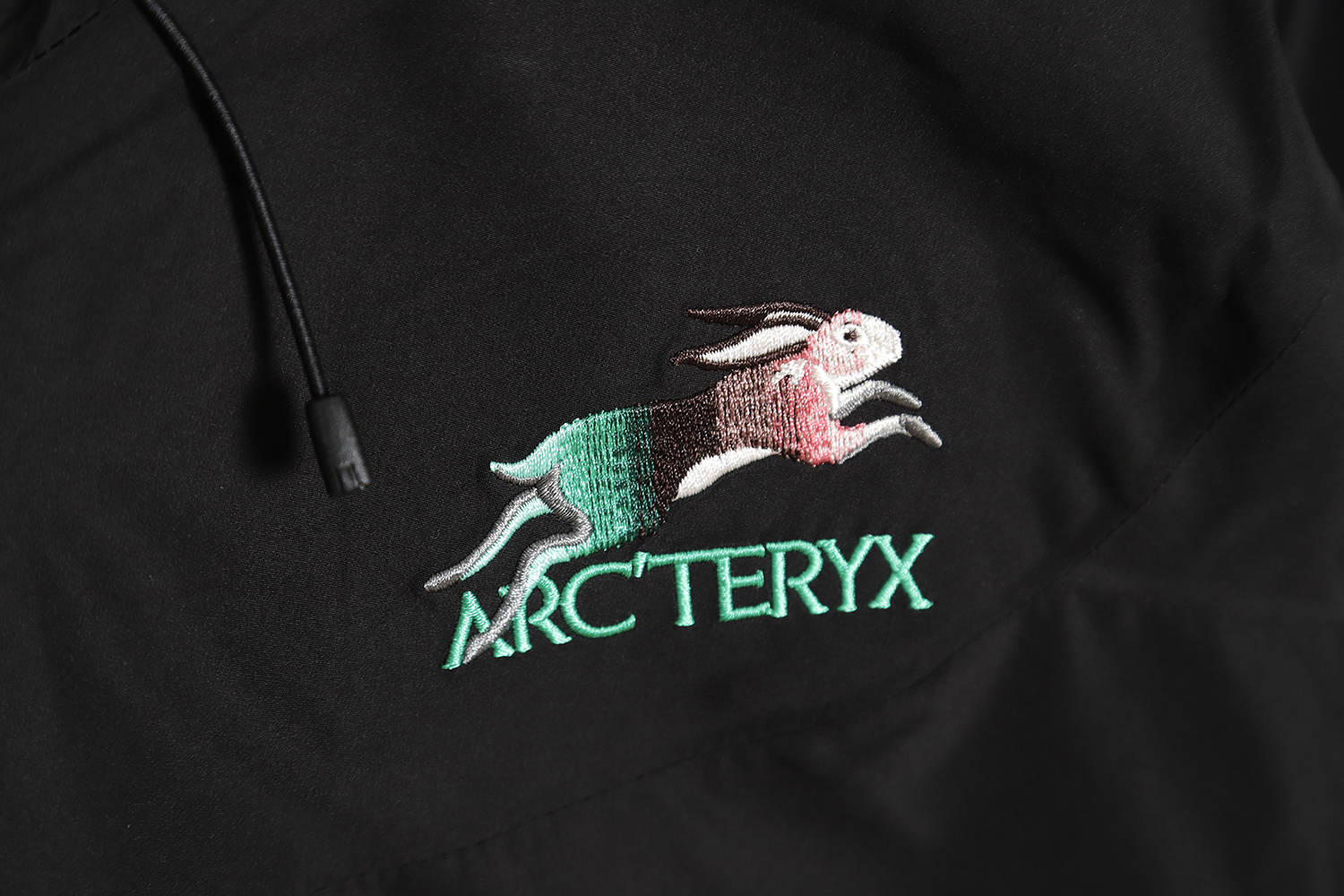 Arc`teryx Year of the Rabbit limited color logo hard shell jacket