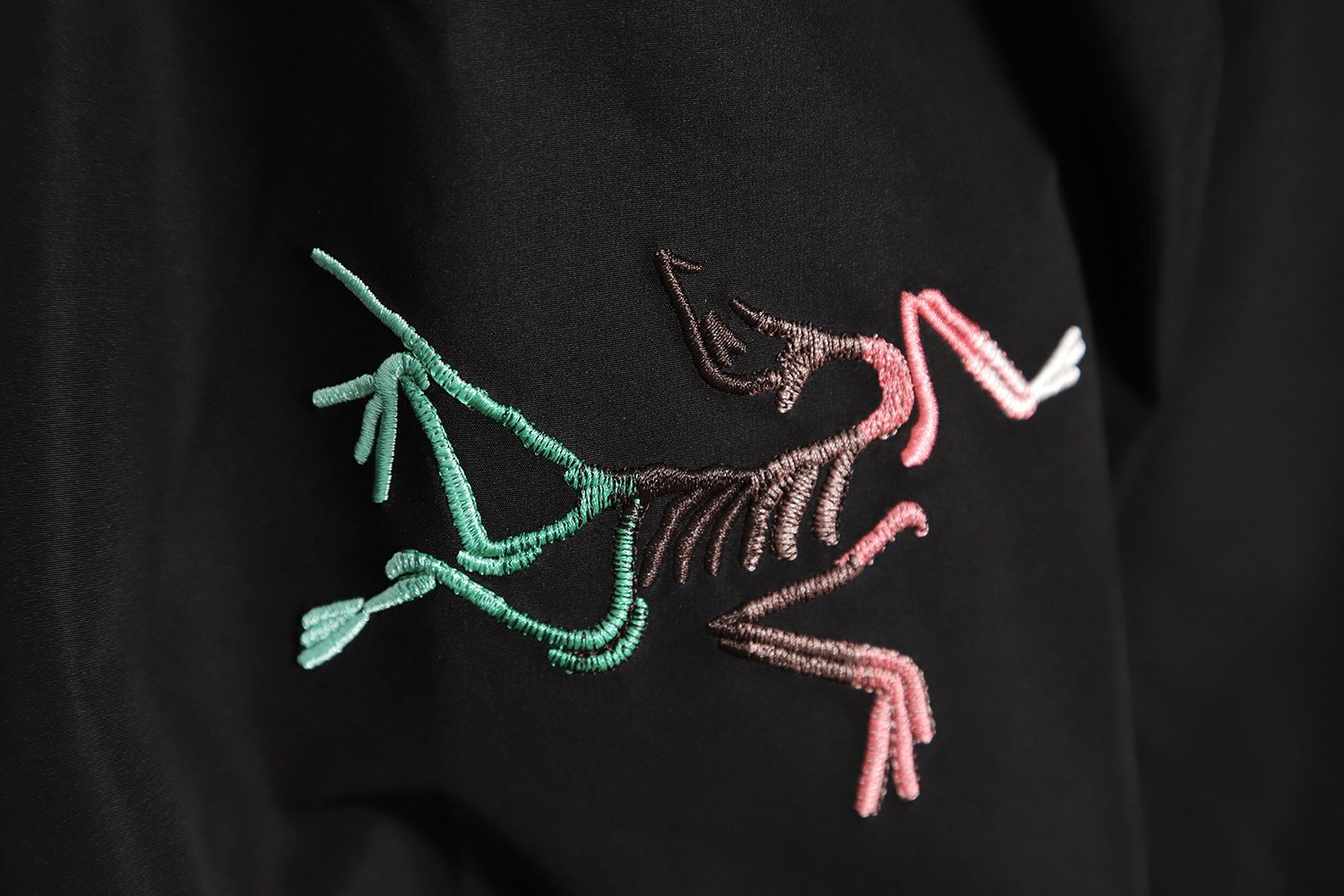 Arc`teryx Year of the Rabbit limited color logo hard shell jacket