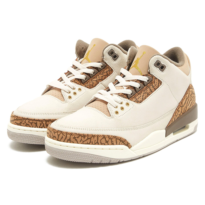 Air Jordan 3 Retro 