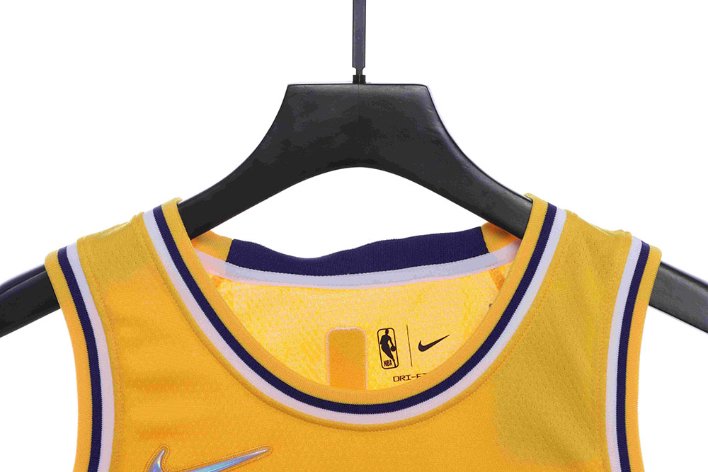 Lakers James James No. 6 jersey