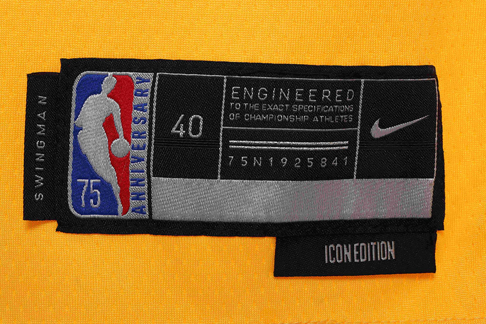 Lakers James James No. 6 jersey