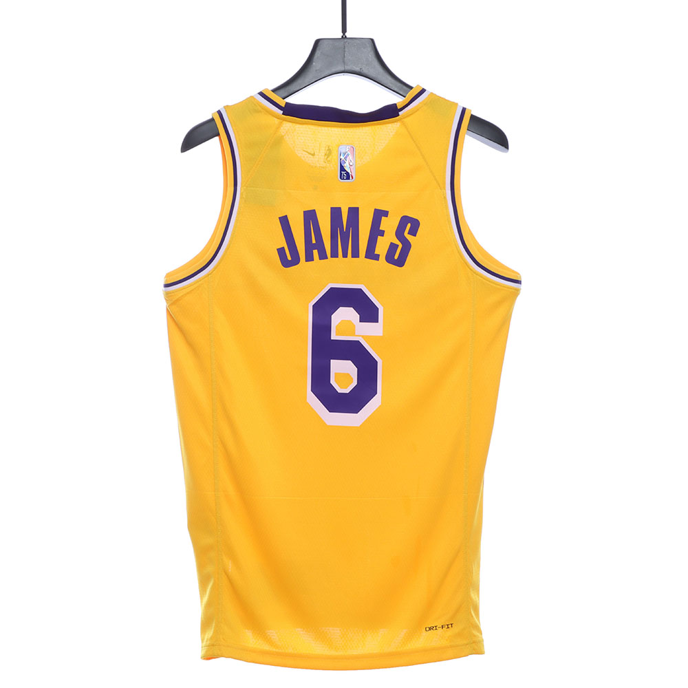 Lakers James James No. 6 jersey