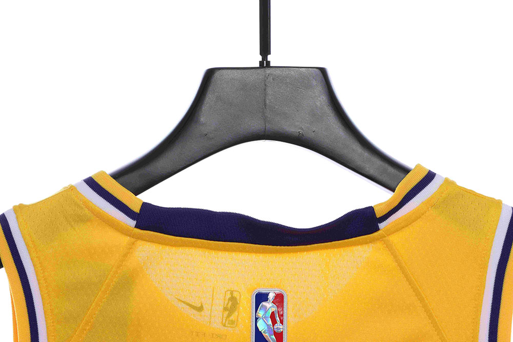 Lakers James James No. 6 jersey