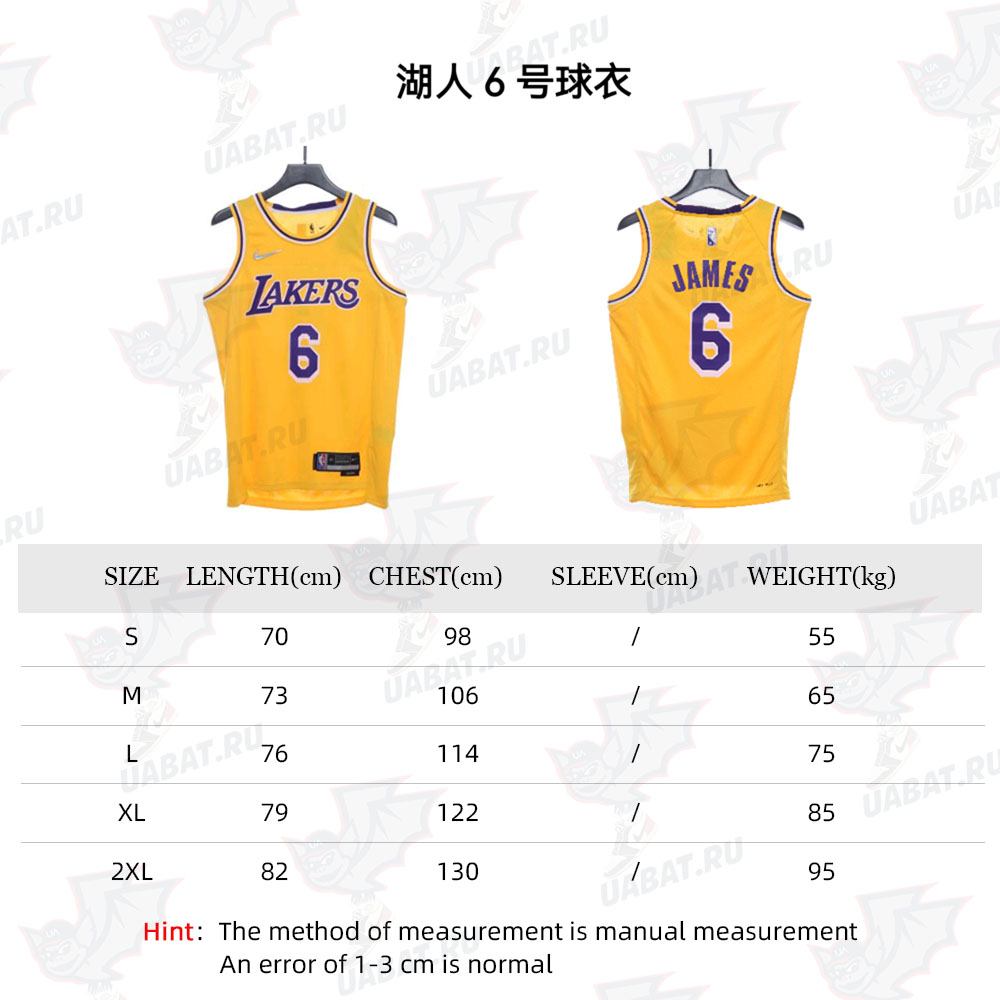 Lakers James James No. 6 jersey