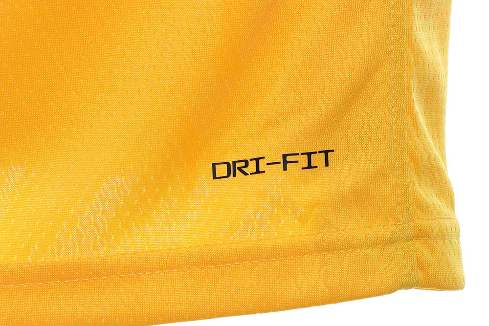 Lakers James James No. 6 jersey