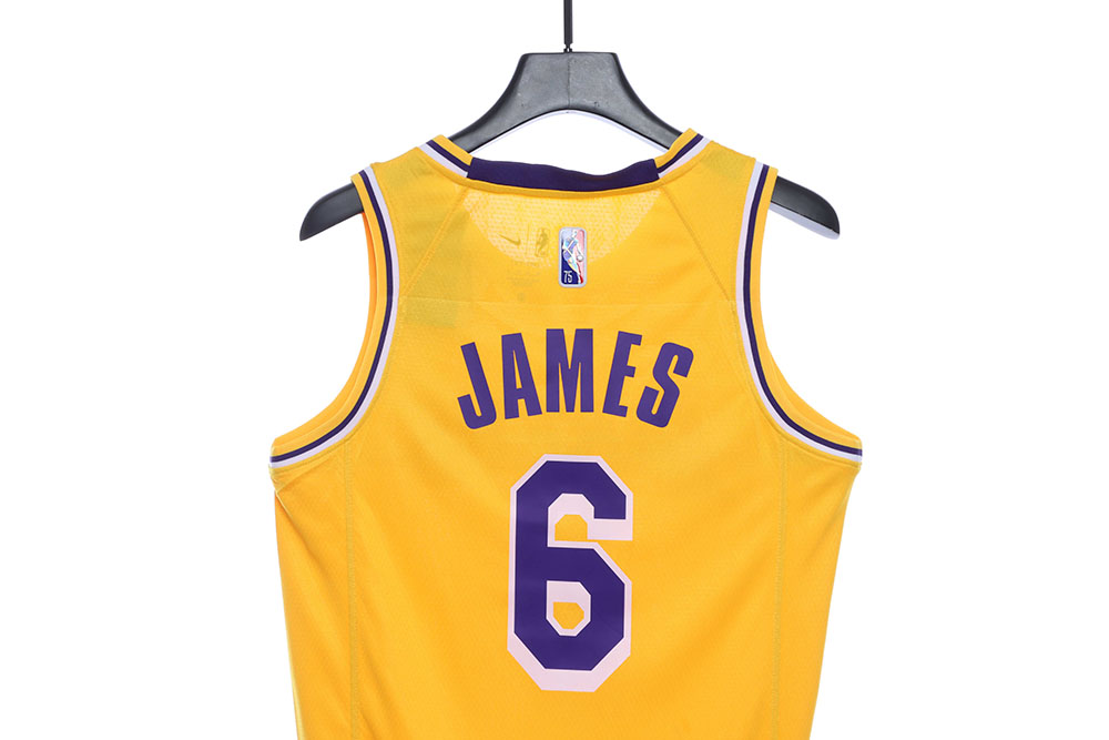Lakers James James No. 6 jersey