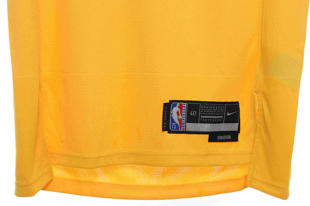 Lakers James James No. 6 jersey