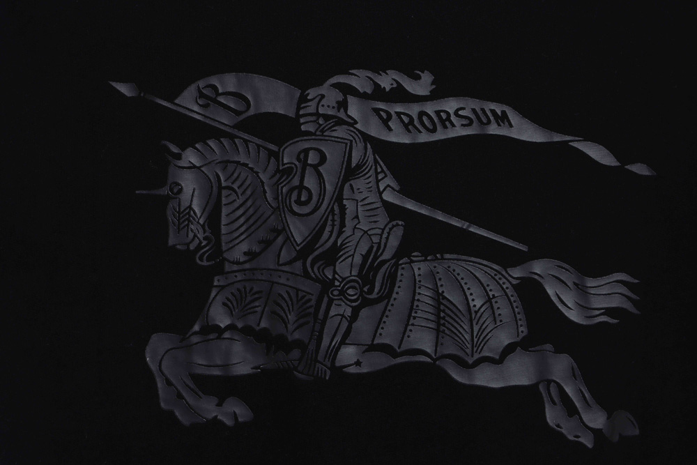 B**rry back charge knight print short sleeve tsk1