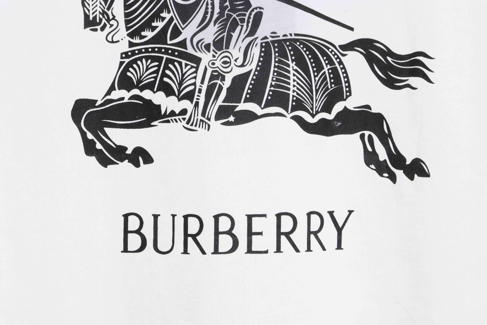 B**rry back charge knight print short sleeves