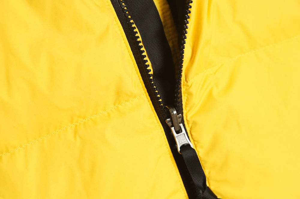 the nor*h F**e 1996 classic down vest