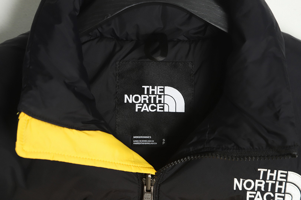 the nor*h F**e 1996 classic down vest