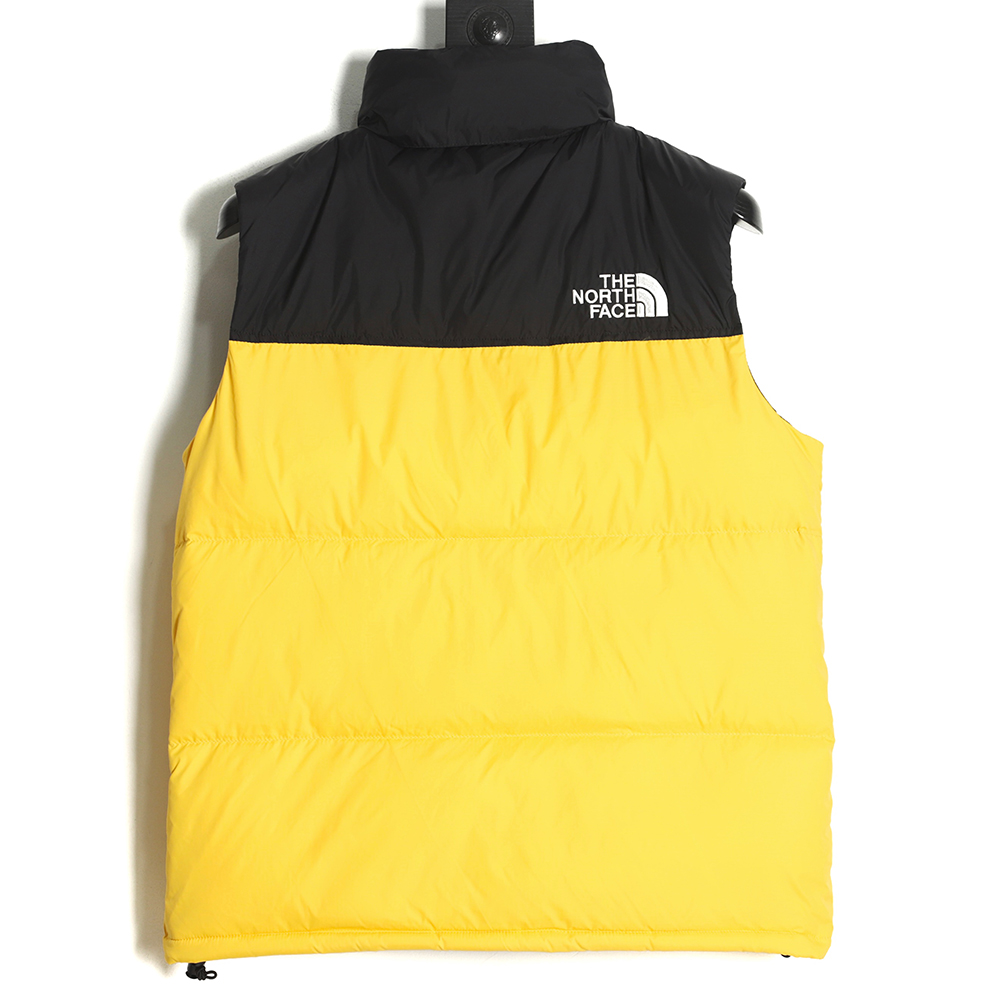 the nor*h F**e 1996 classic down vest