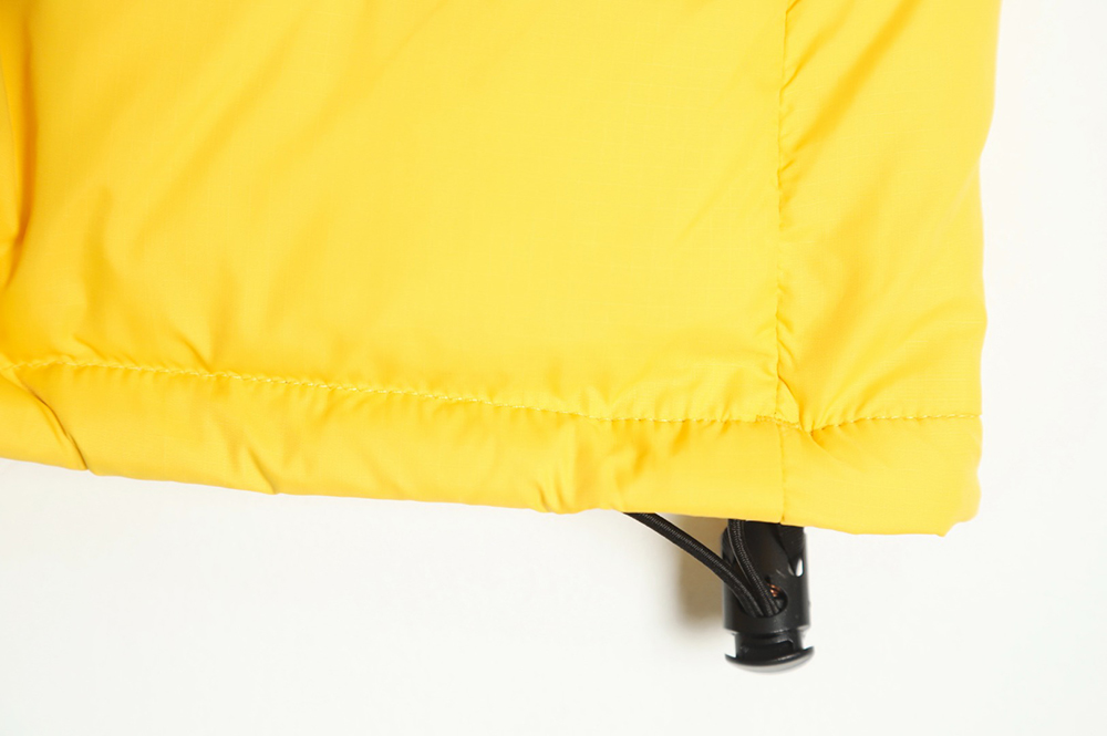 the nor*h F**e 1996 classic down vest