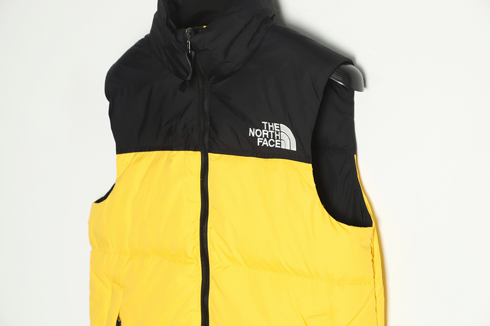 the nor*h F**e 1996 classic down vest