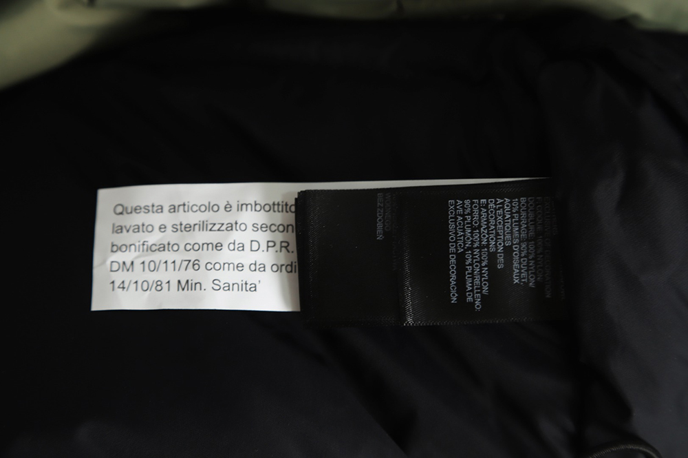 the nor*h F**e 1996 classic down vest