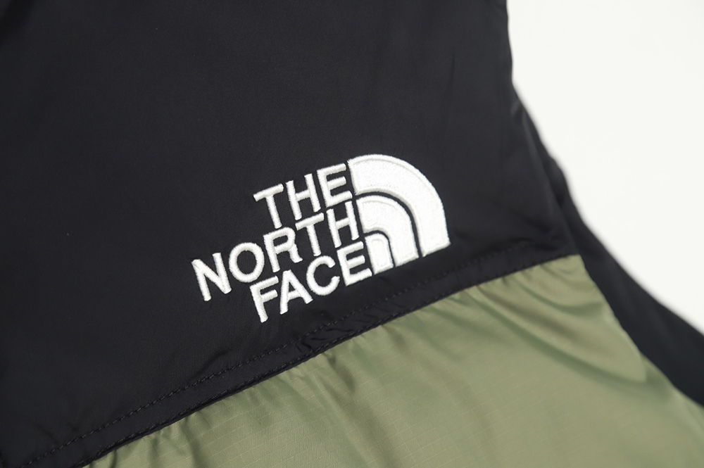 the nor*h F**e 1996 classic down vest