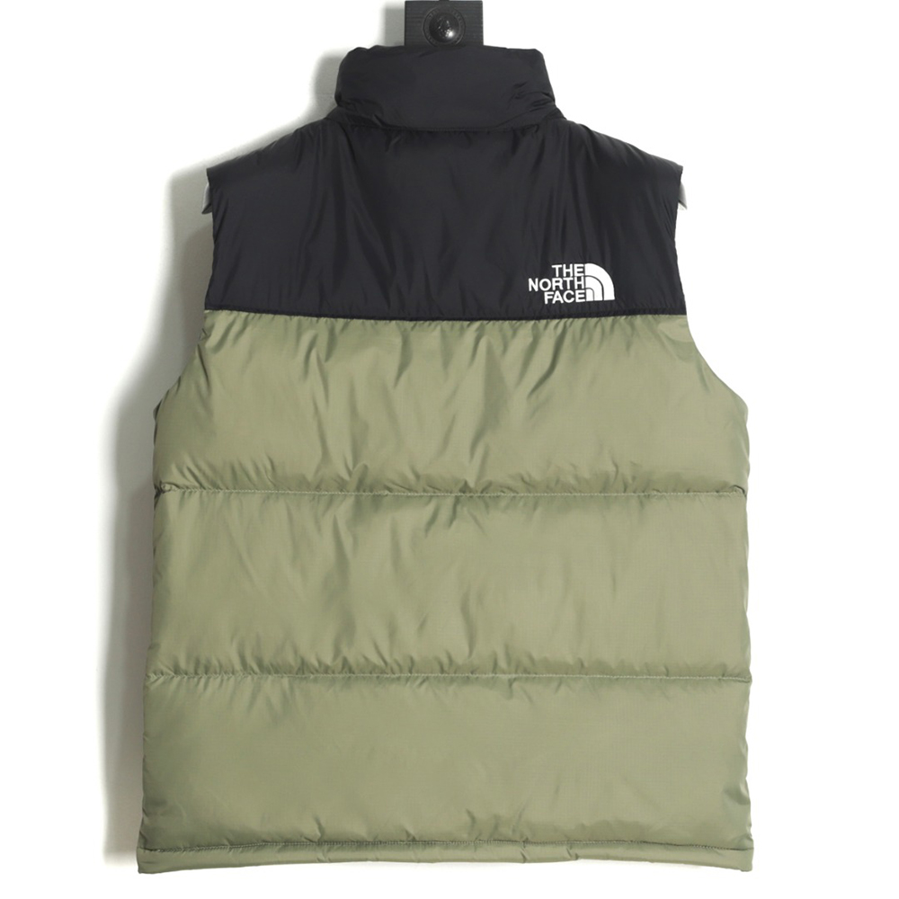 the nor*h F**e 1996 classic down vest