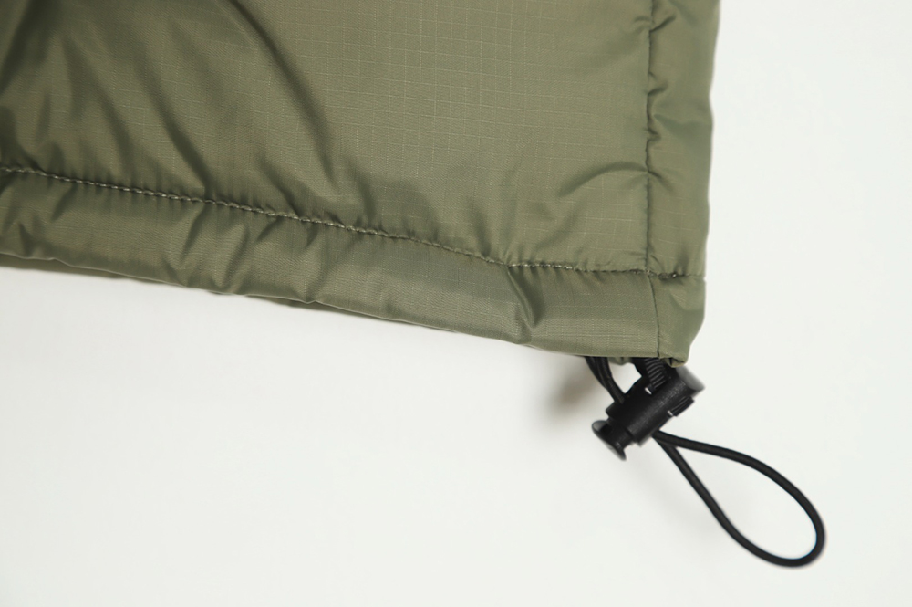 the nor*h F**e 1996 classic down vest