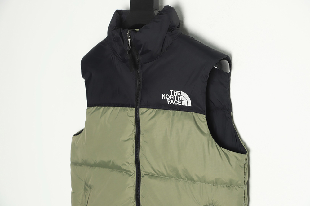 the nor*h F**e 1996 classic down vest