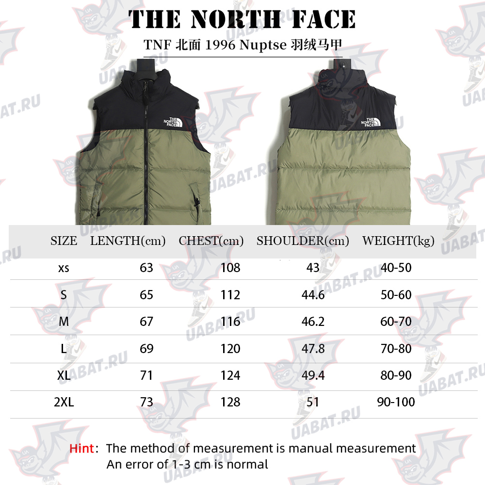 the nor*h F**e 1996 classic down vest