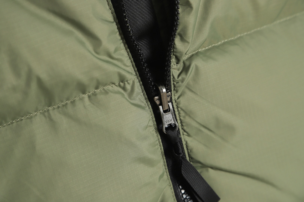 the nor*h F**e 1996 classic down vest