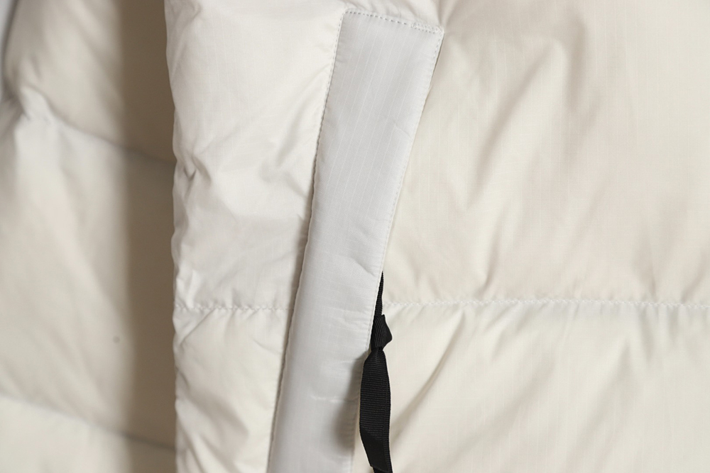 the nor*h F**e 1996 nuptse classic down jacket