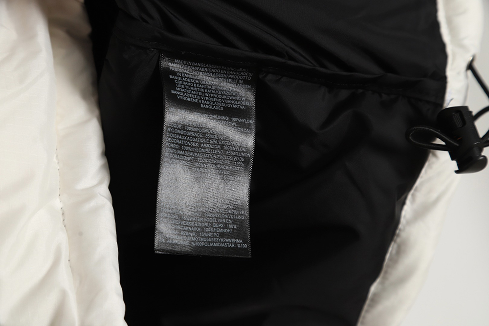 the nor*h F**e 1996 nuptse classic down jacket