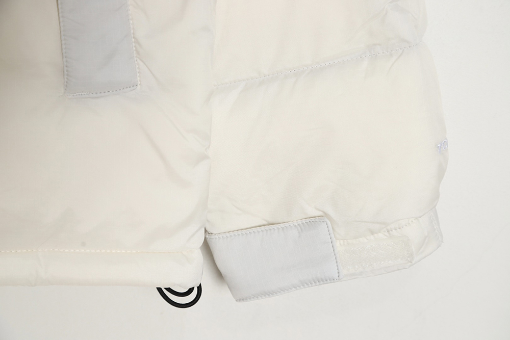 the nor*h F**e 1996 nuptse classic down jacket