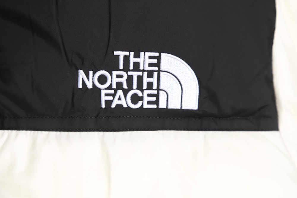 the nor*h F**e 1996 nuptse classic down jacket
