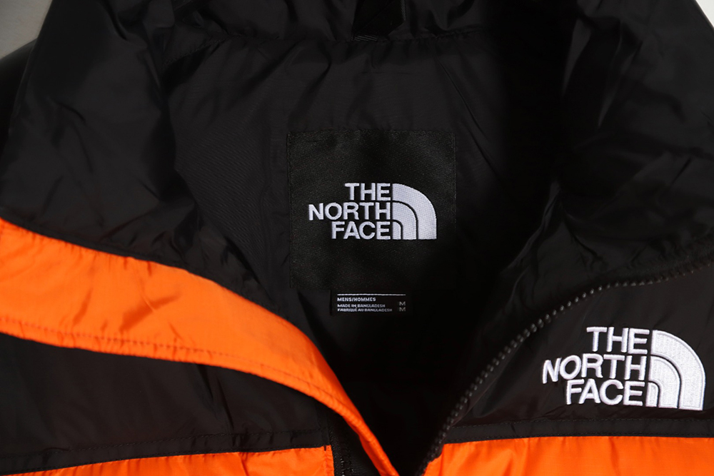 the nor*h F**e 1996 nuptse classic down jacket