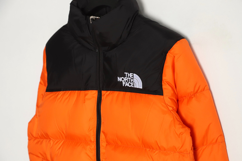 the nor*h F**e 1996 nuptse classic down jacket