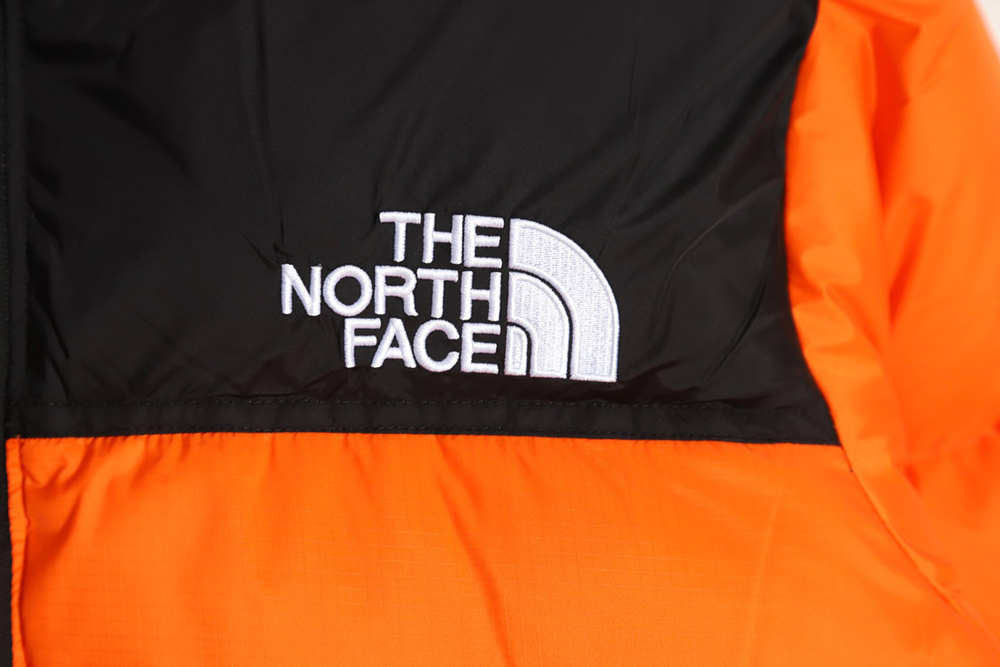 the nor*h F**e 1996 nuptse classic down jacket