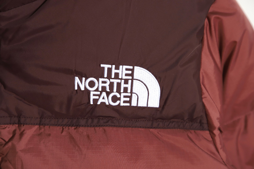 the nor*h F**e 1996 nuptse classic down jacket