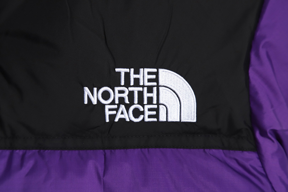 the nor*h F**e 1996 nuptse classic down jacket
