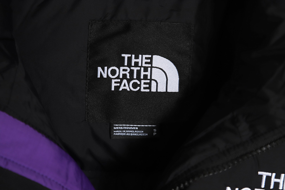 the nor*h F**e 1996 nuptse classic down jacket