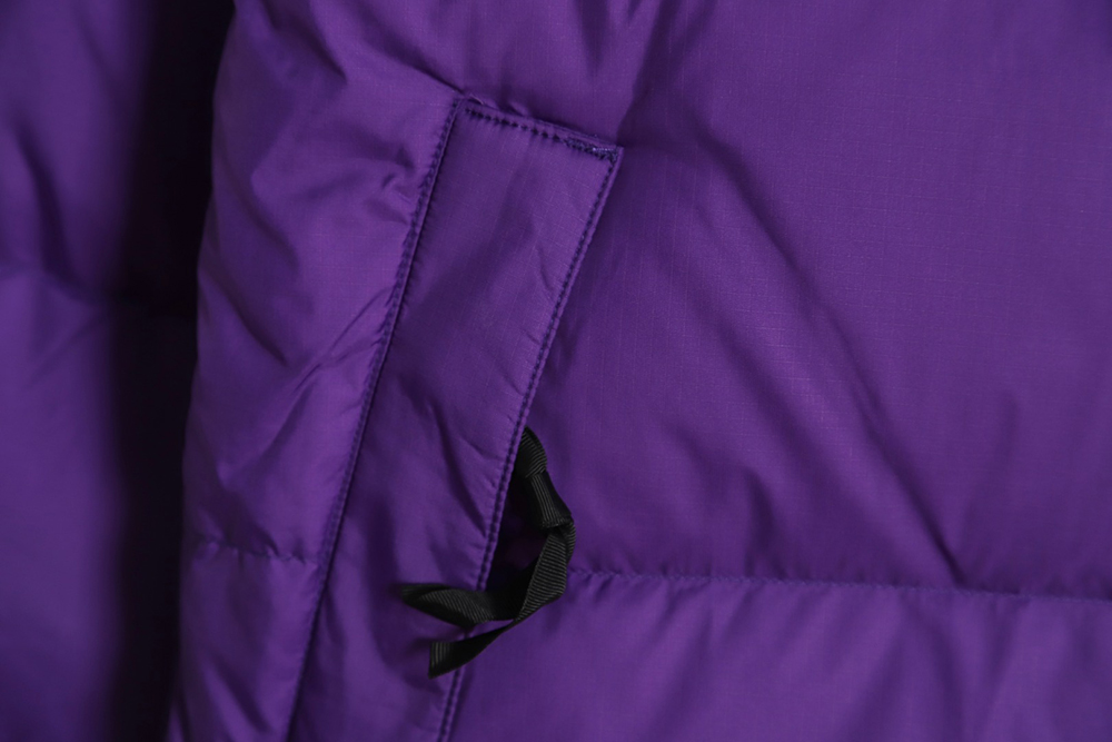 the nor*h F**e 1996 nuptse classic down jacket