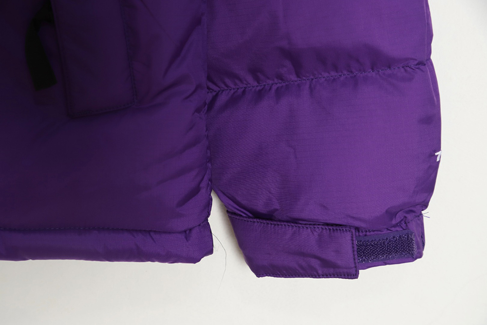 the nor*h F**e 1996 nuptse classic down jacket