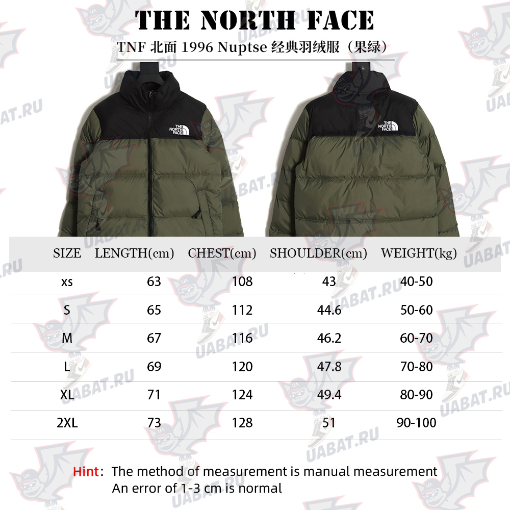 the nor*h F**e 1996 nuptse classic down jacket