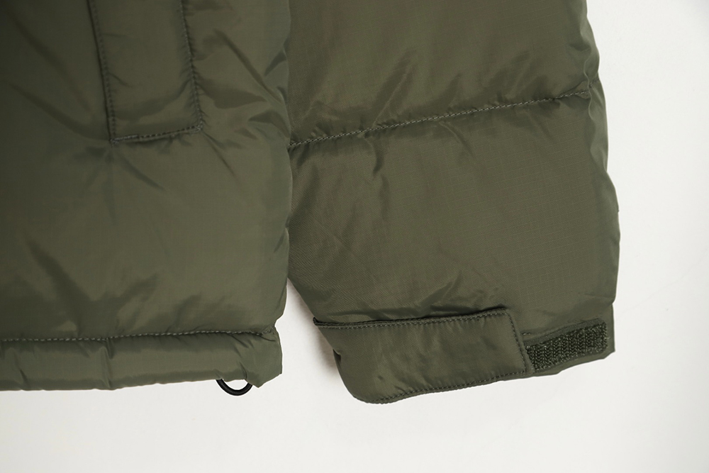 the nor*h F**e 1996 nuptse classic down jacket