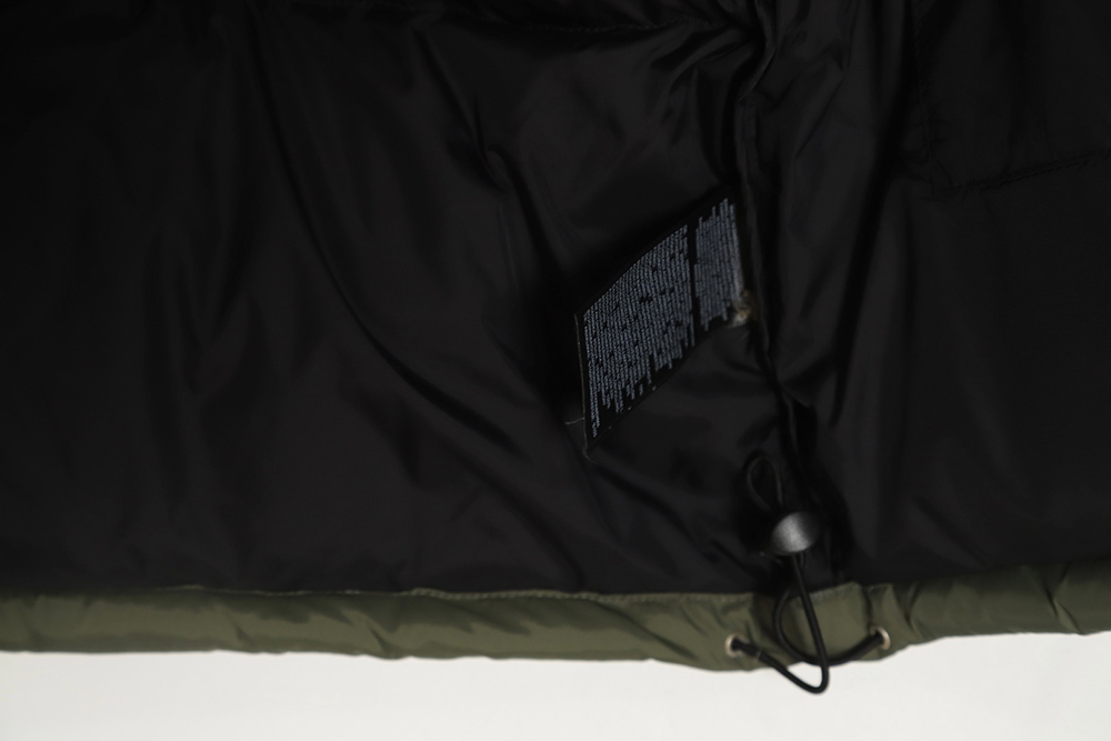 the nor*h F**e 1996 nuptse classic down jacket