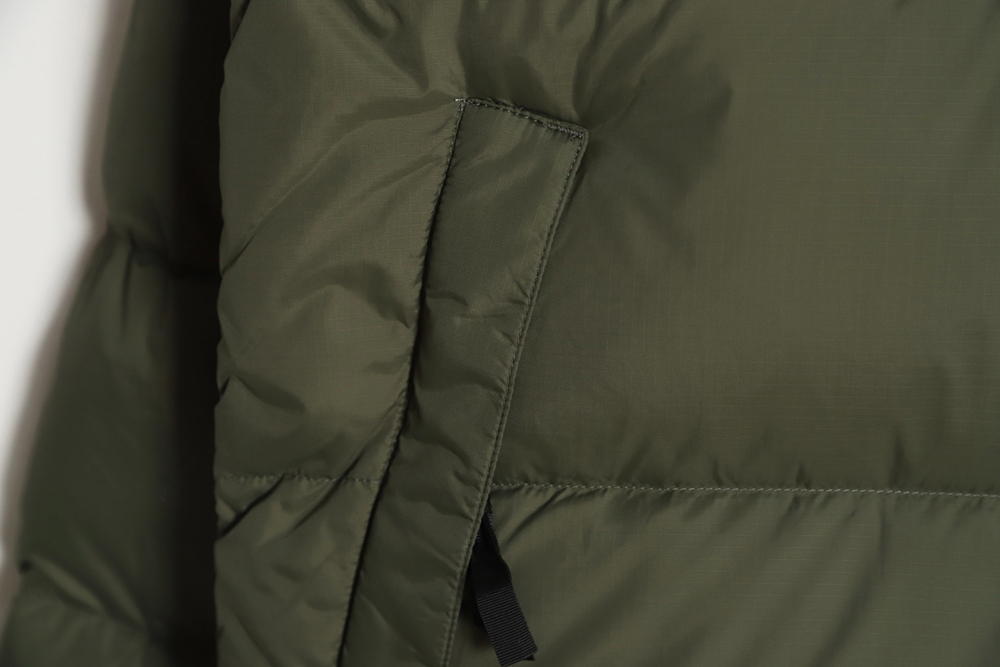 the nor*h F**e 1996 nuptse classic down jacket