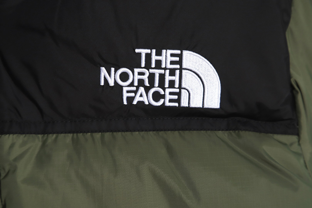 the nor*h F**e 1996 nuptse classic down jacket