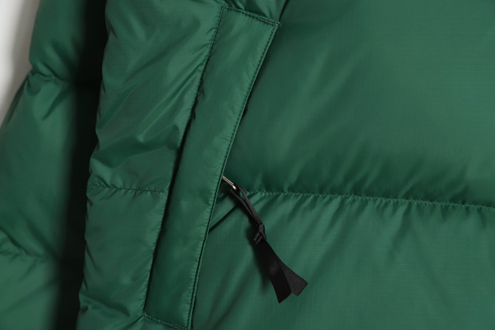 the nor*h F**e 1996 nuptse classic down jacket